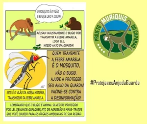 Ações informam sobre importância dos macacos para alerta da febre amarela